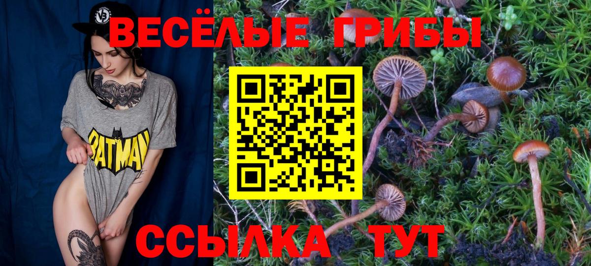 Псилоцибиновые грибы Psilocybe  Псилоцибиновые грибы MAGIC MUSHROOMS  Северобайкальск  Вход с VPN 